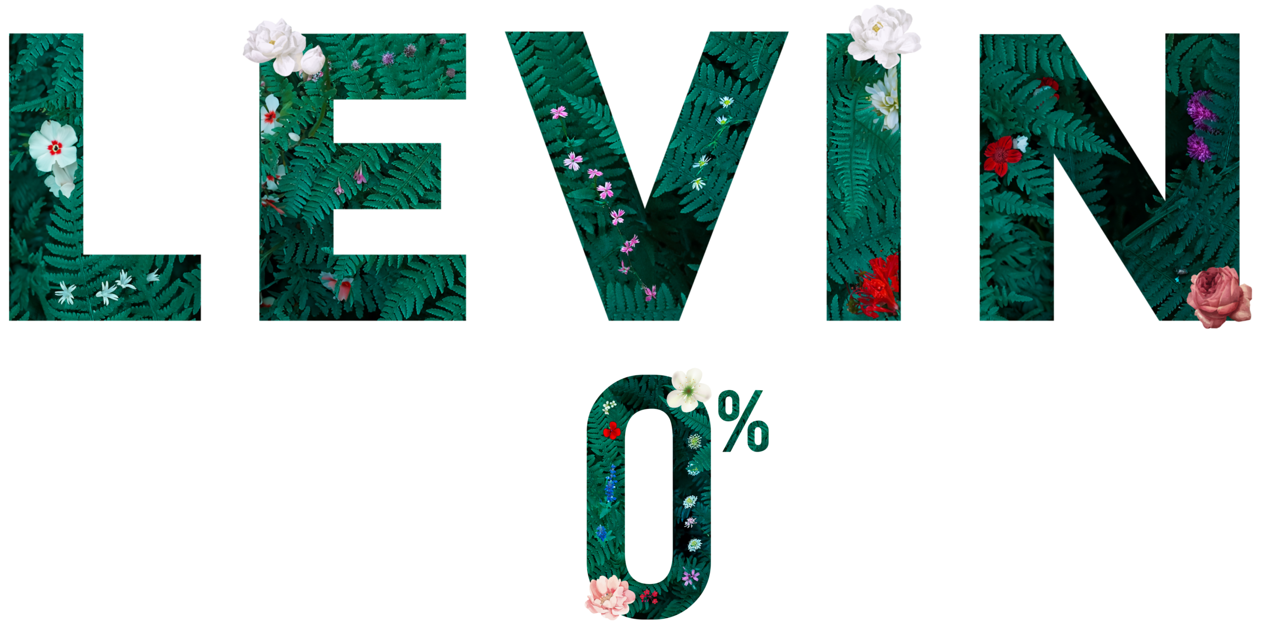 Logo Levin