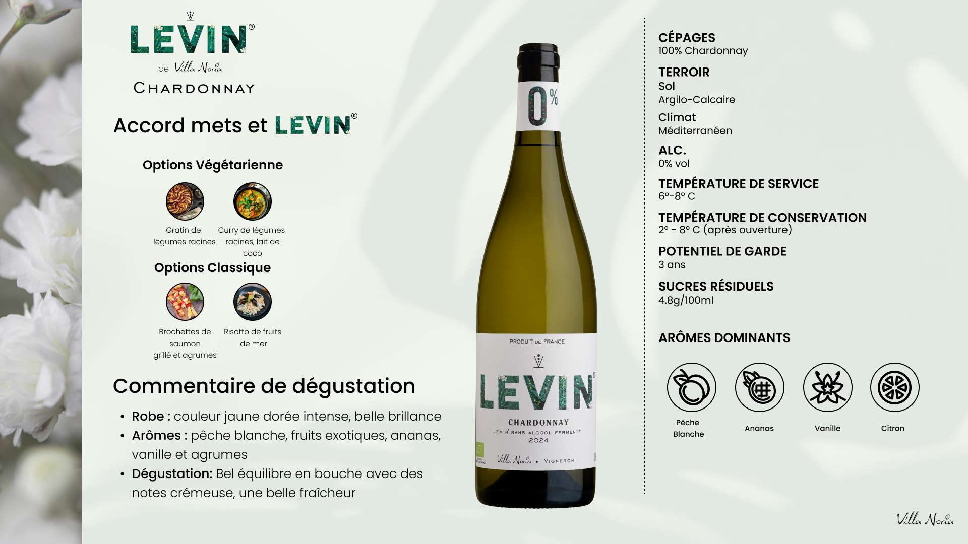 Chardonnay
