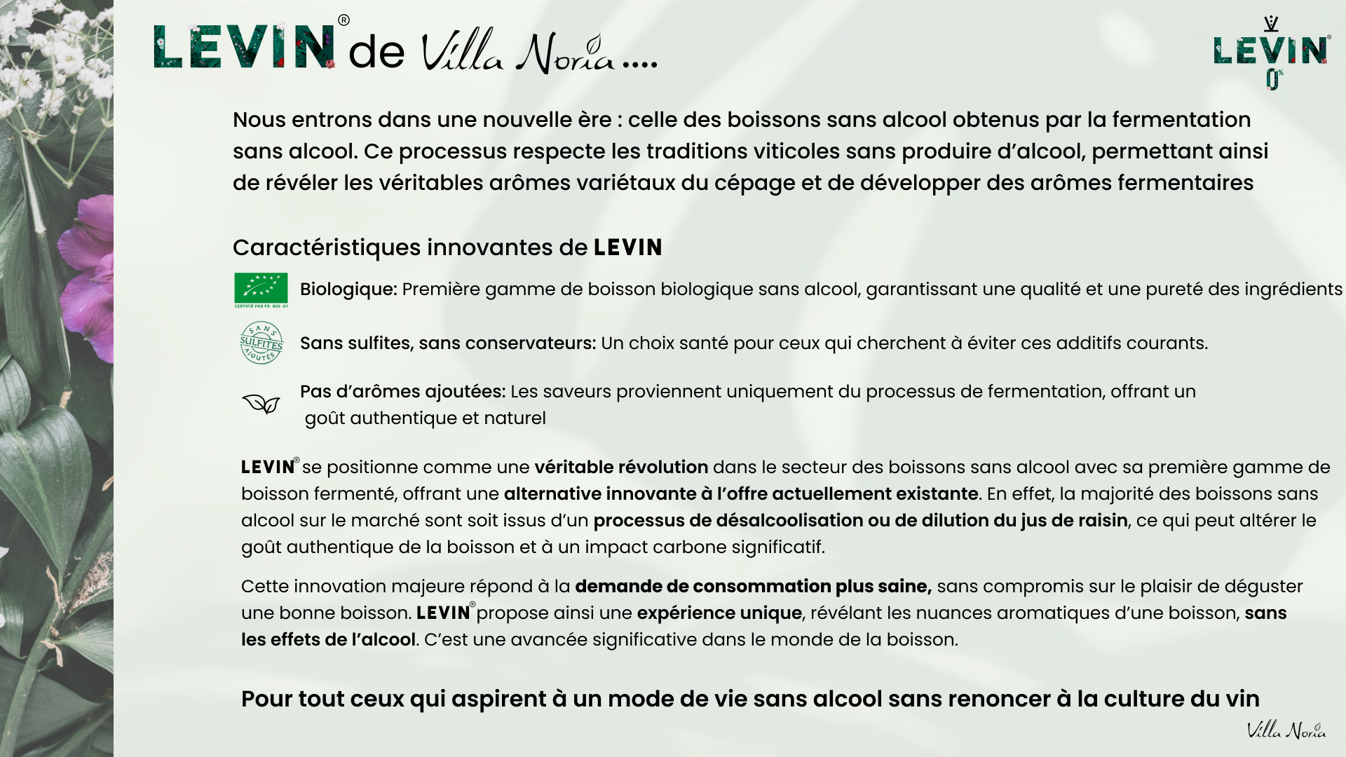 Levin 1