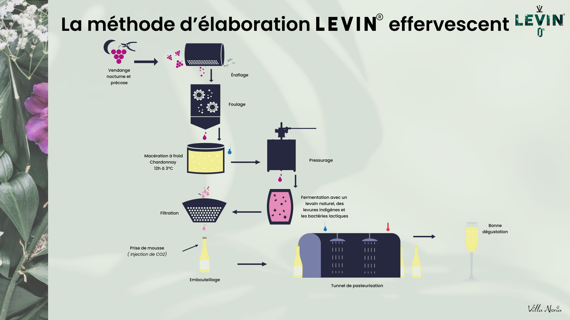 élaboration mousseux