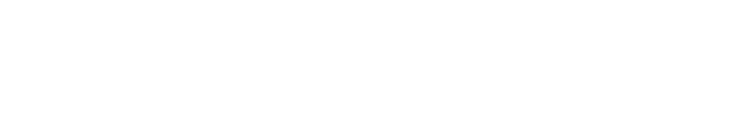 Raisins Naturel