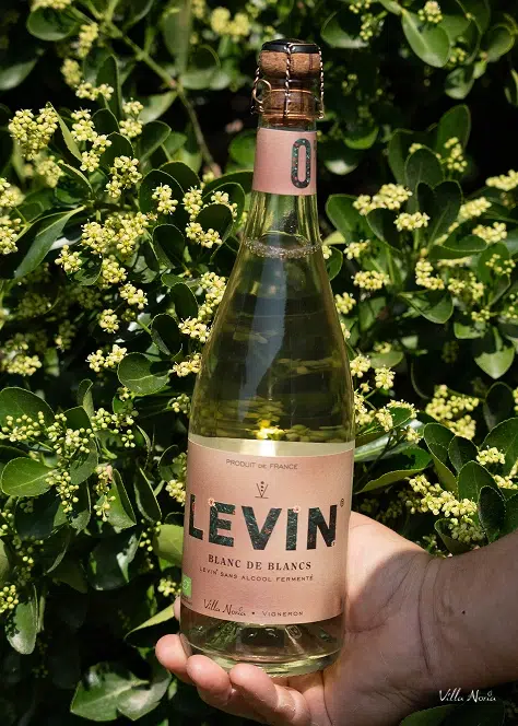 Levin 0%, sans alcool fermenté