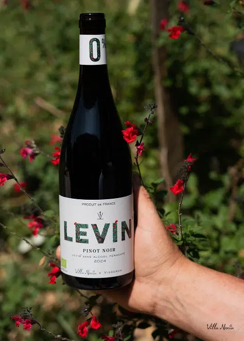 Levin 0% - Pinot Noir